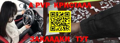 PSILOCYBIN Гатчина