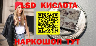 PSILOCYBIN Гатчина