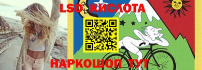 PSILOCYBIN Гатчина