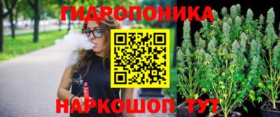 ешки Гагарин
