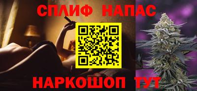 PSILOCYBIN Гатчина