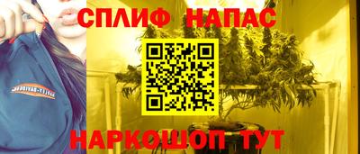 ешки Гагарин