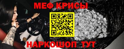 PSILOCYBIN Гатчина